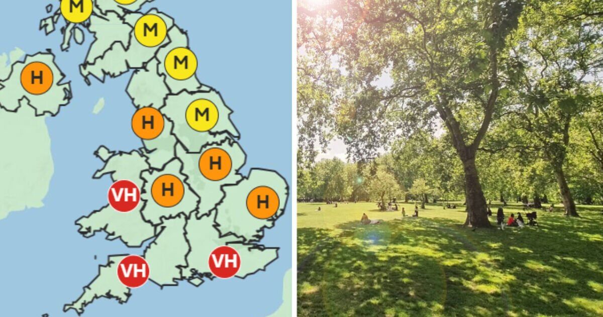 Met Office Issues Red Alert for Widespread High Pollen Levels