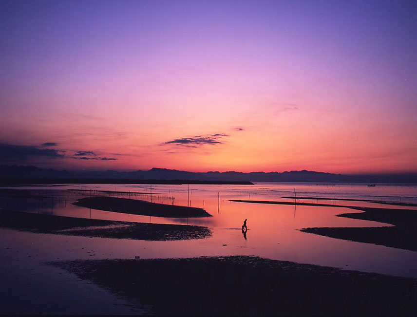茜色に染まる干潟の奇跡：2026年、日本一の夕景「真玉海岸」が問いかける景観保全と観光の未来