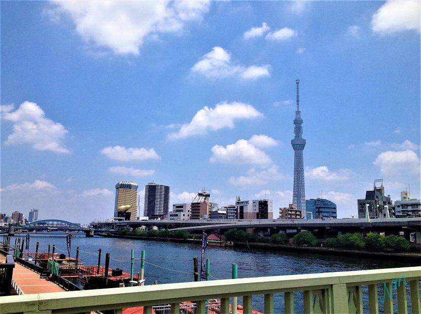 江戸東京たてもの園とジブリの真相｜名建築の魅力と歩き方を徹底解剖