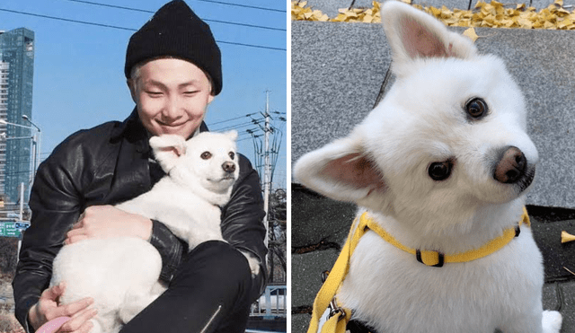 Nombre Del Perro De Namjoon