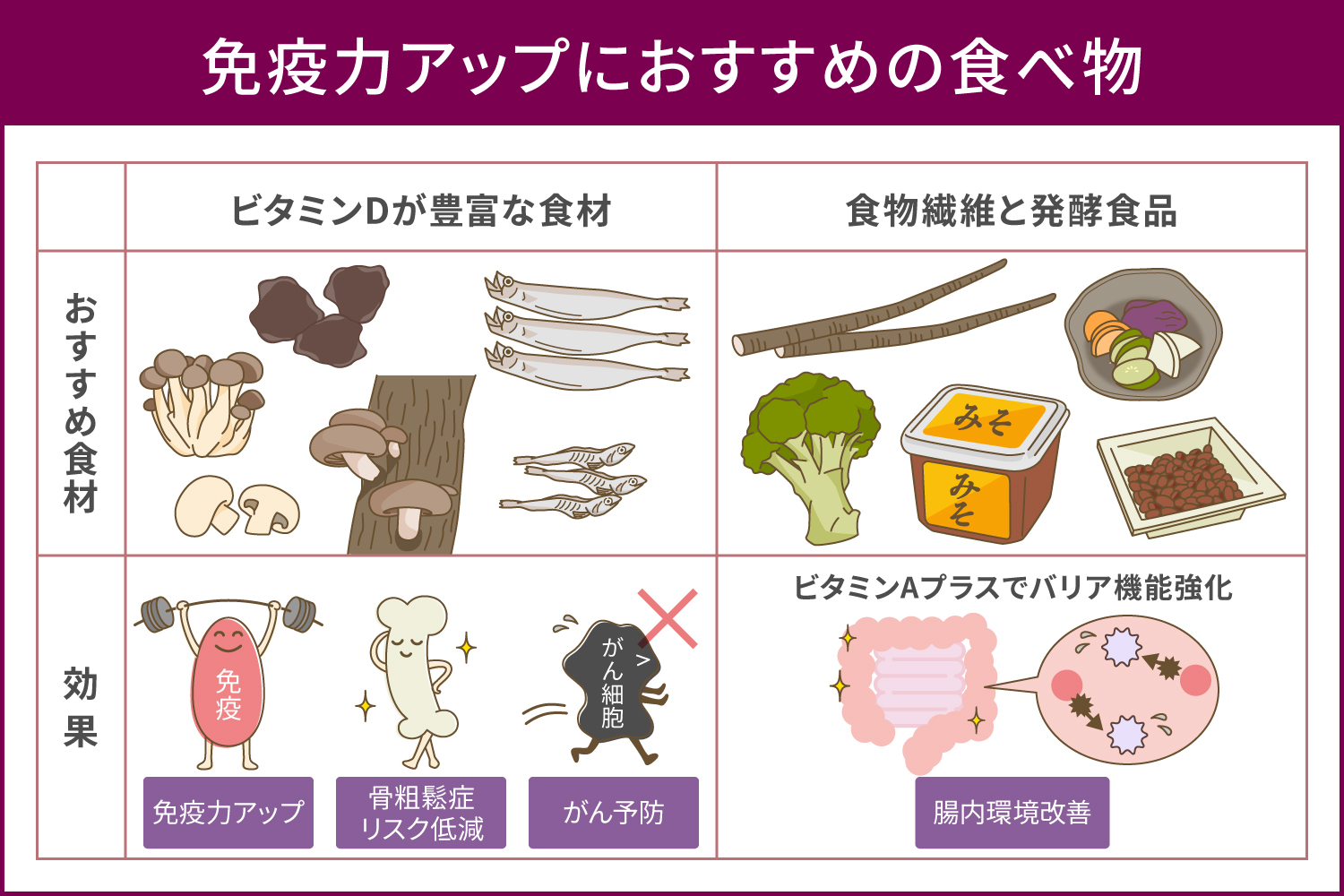 免疫力を上げる方法【2026年最新】医師が驚いた腸・食事・睡眠の真実