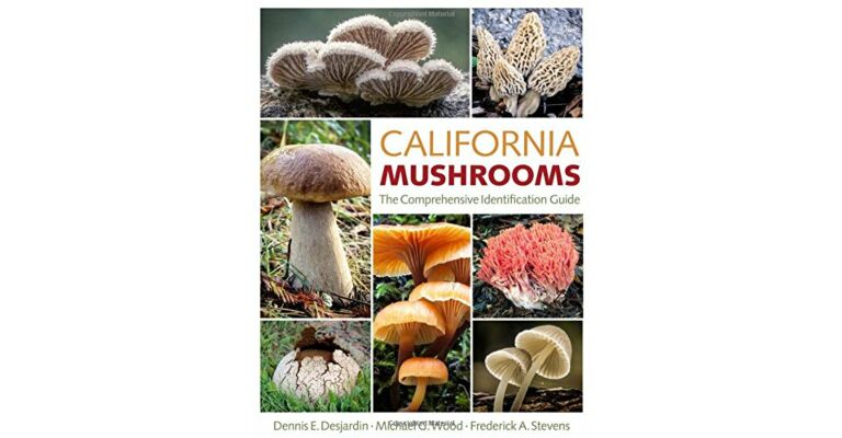California Mushrooms: the Comprehensive Identification Guide Barnes