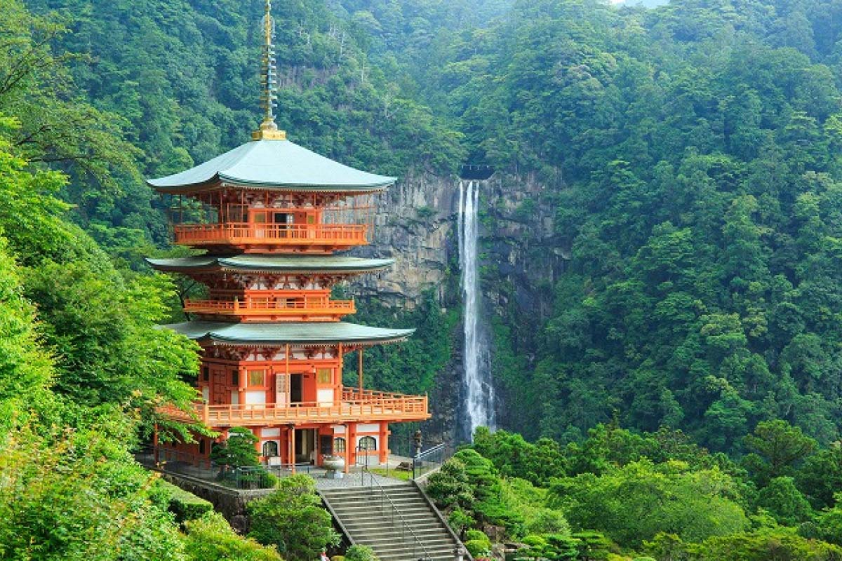 和歌山に空港はある？県庁所在地にない理由と白浜・関空の全真相