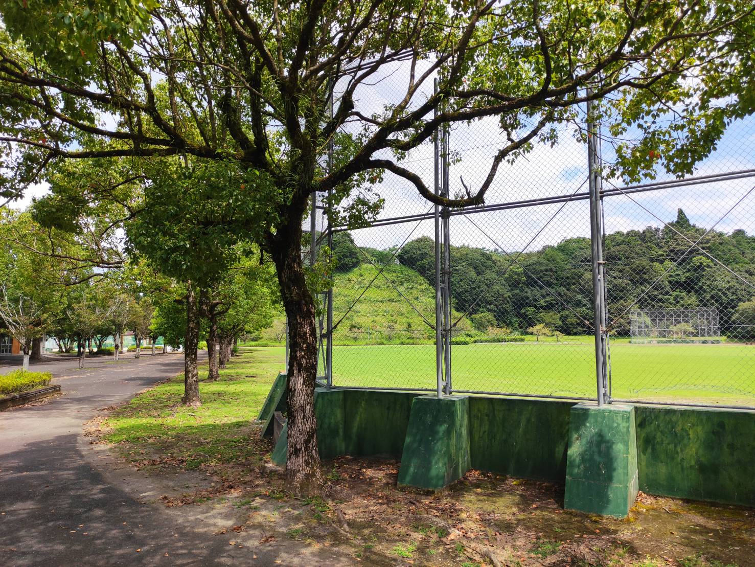 松山総合公園と城山公園の違いは？お城の真相と2026最新比較