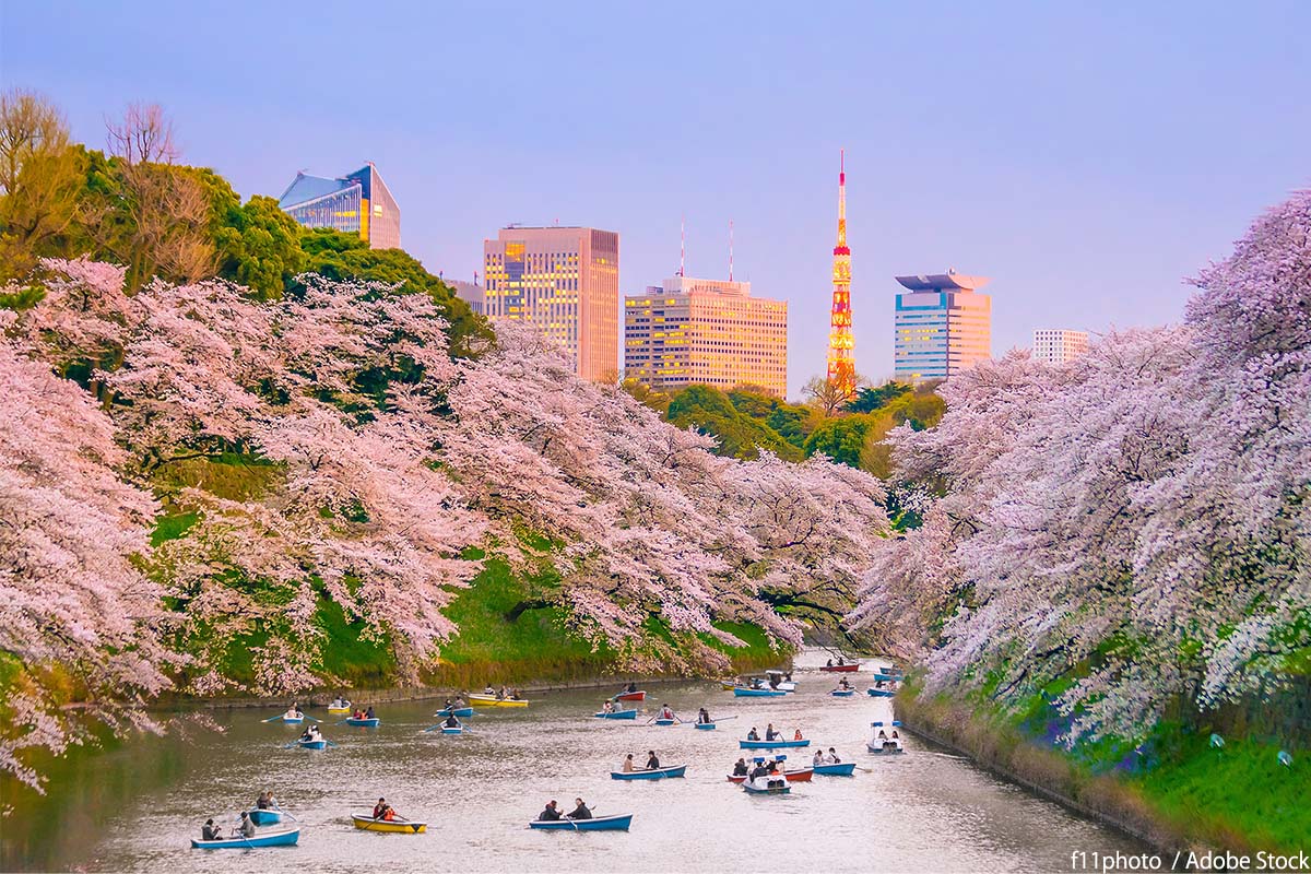 【2026最新】東京の公園おすすめ15選！大型遊具や穴場デート徹底調査