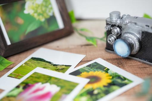 まるで本物！「写真みたいな絵」の正体と描き方｜神技の秘密を徹底解剖