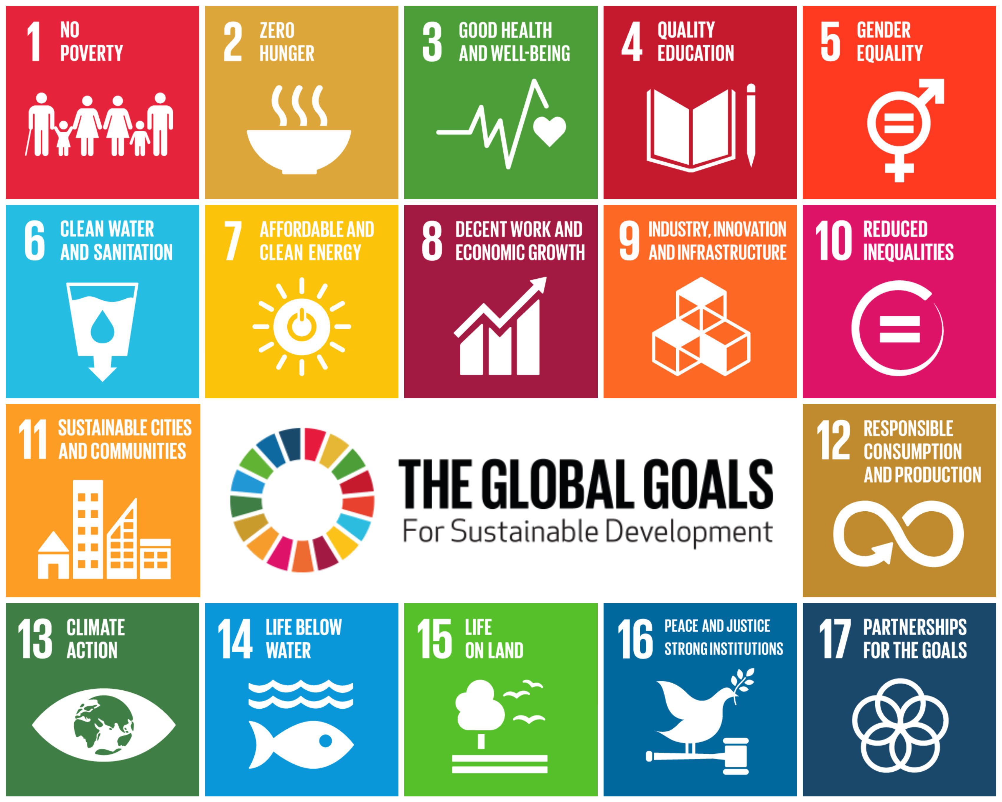 What Are the Goals of Sustainable Development