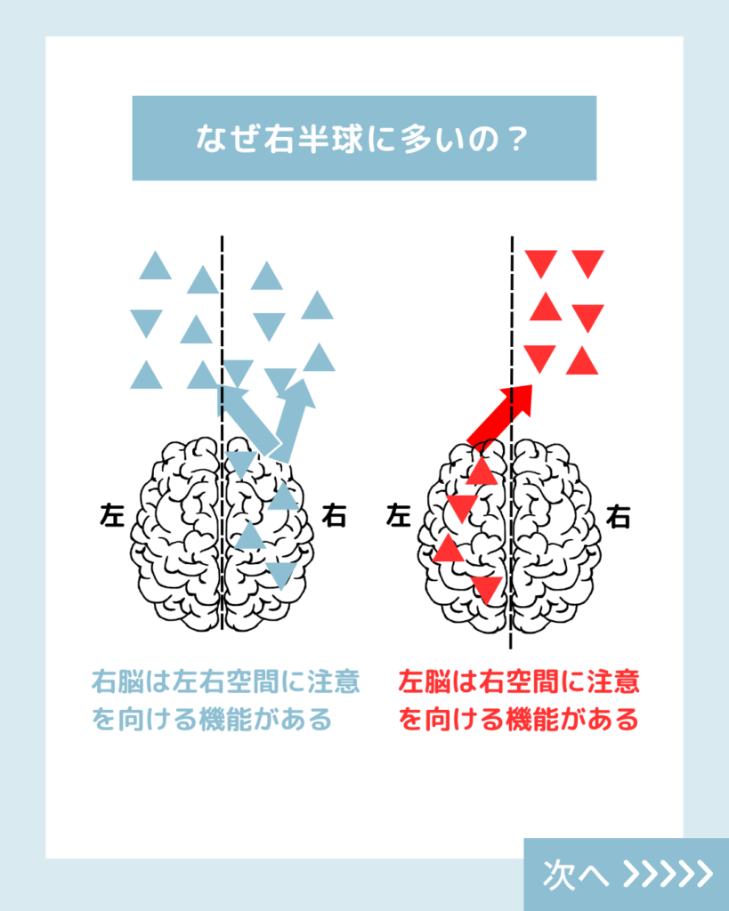 左半側空間無視の正体とリハビリ｜半盲との決定的な違いと家族の対応