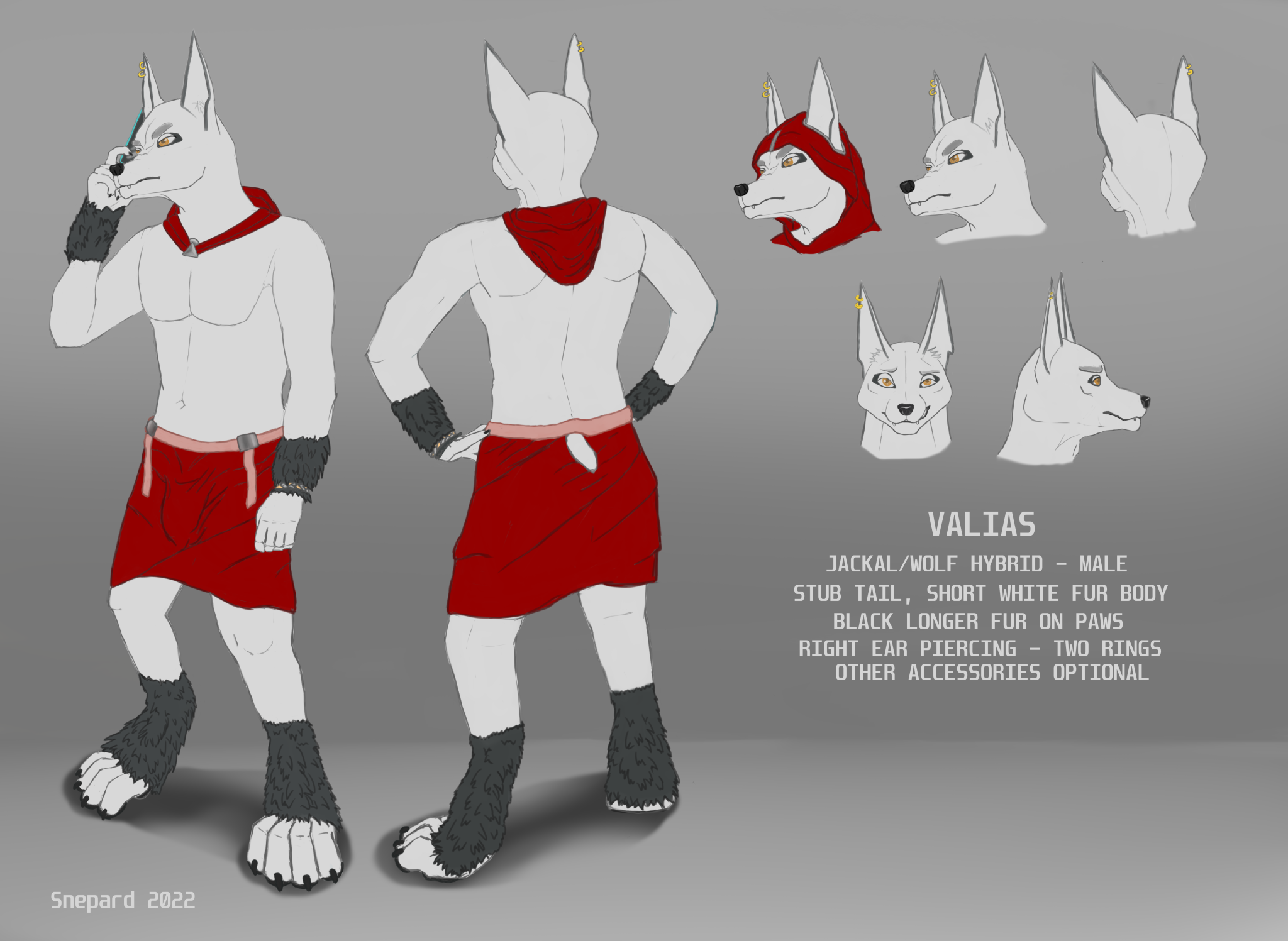 Outfit Ideas for a Jackal Human Hybrid Reddit