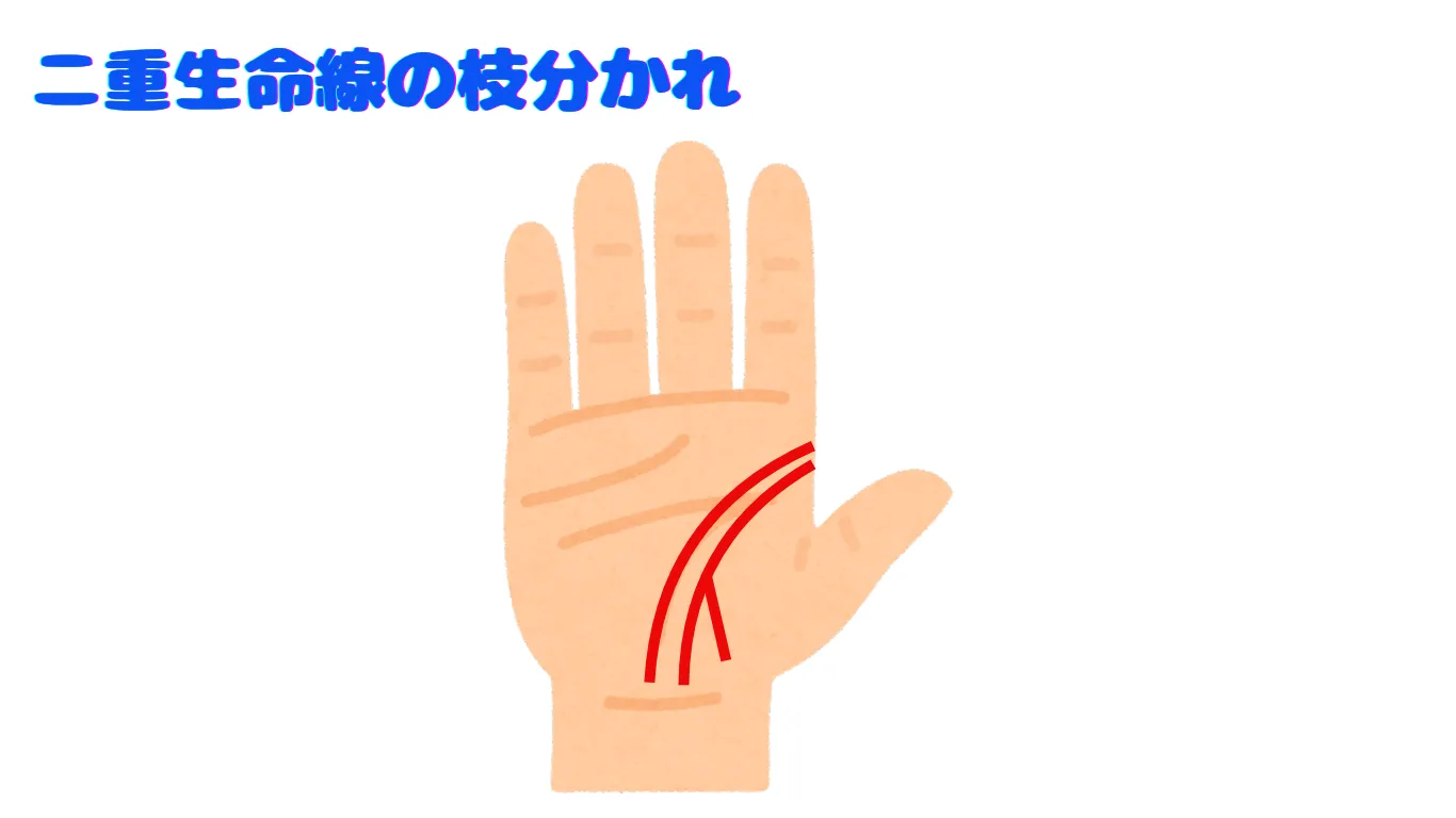 生命線の枝分かれ3本は吉兆か警告か？先端三又の意味と左右差を徹底解明