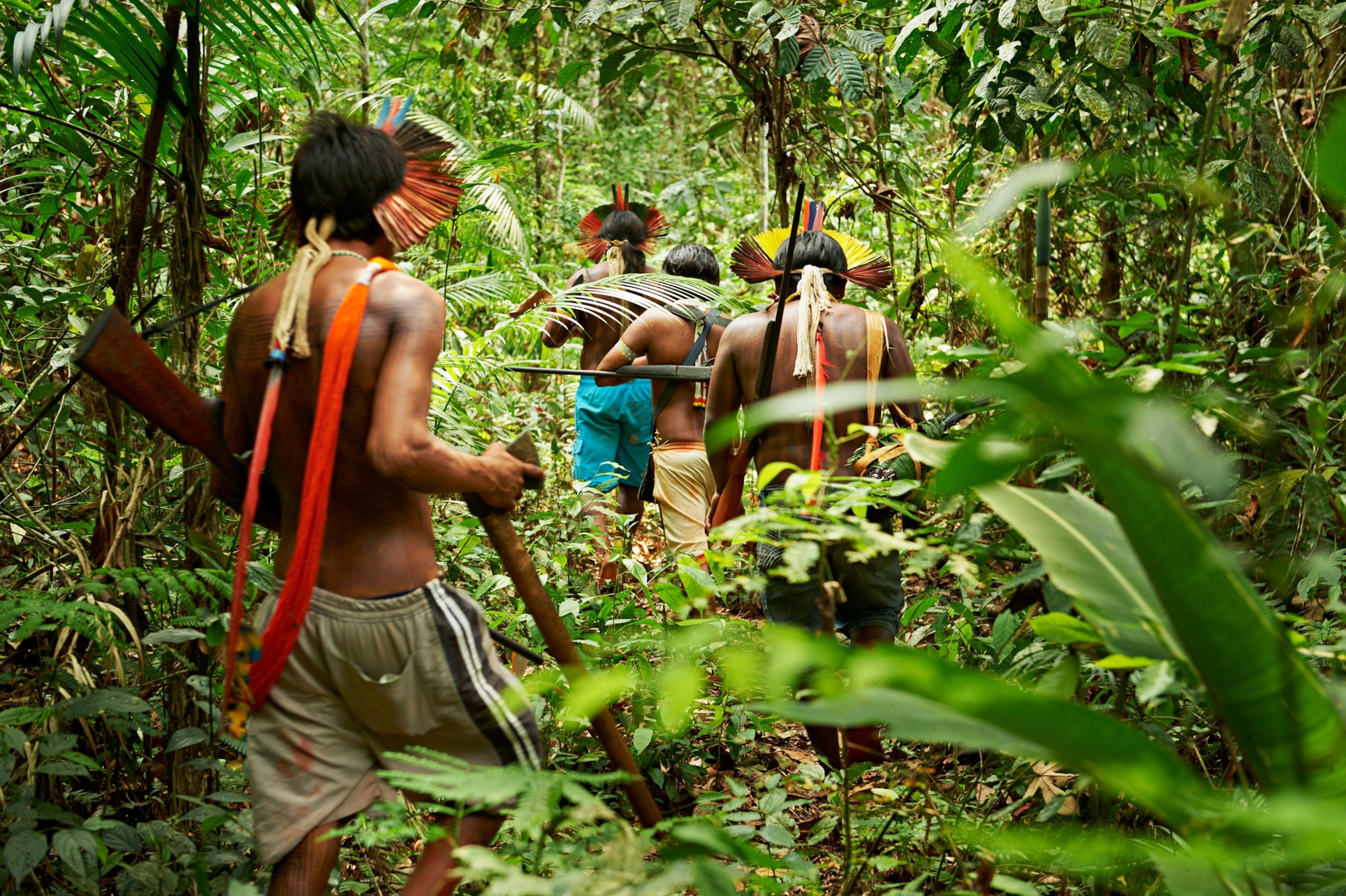 Indigenous Tribes in the Amazon Rainforest