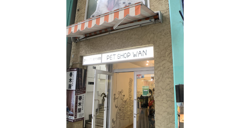 ペットショップWan吉祥寺店の評判は？子犬相場と後悔ゼロの選び方