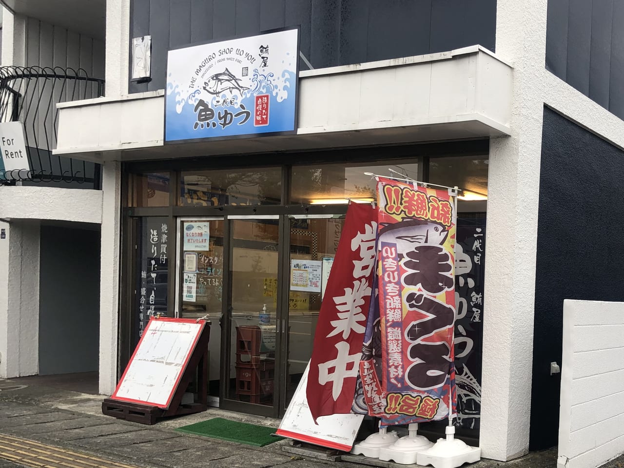 2026年、日本の海と食卓を変える「魚 ゆう」現象の正体——極上の鮮度と伝統の技が織りなす新潮流