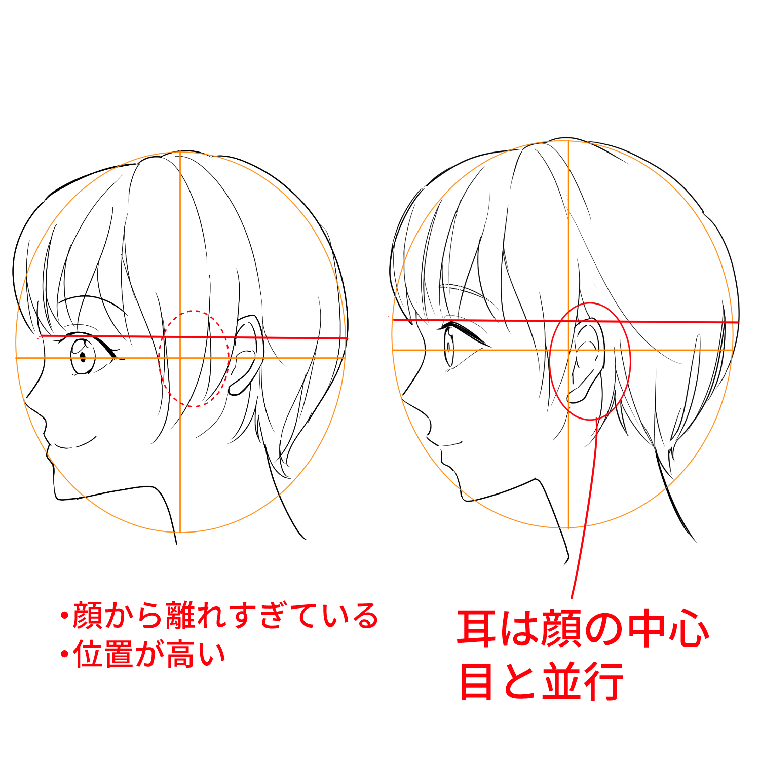 横顔ブサイクの原因は口ゴボ？Eライン劇的改善と美容医療最前線