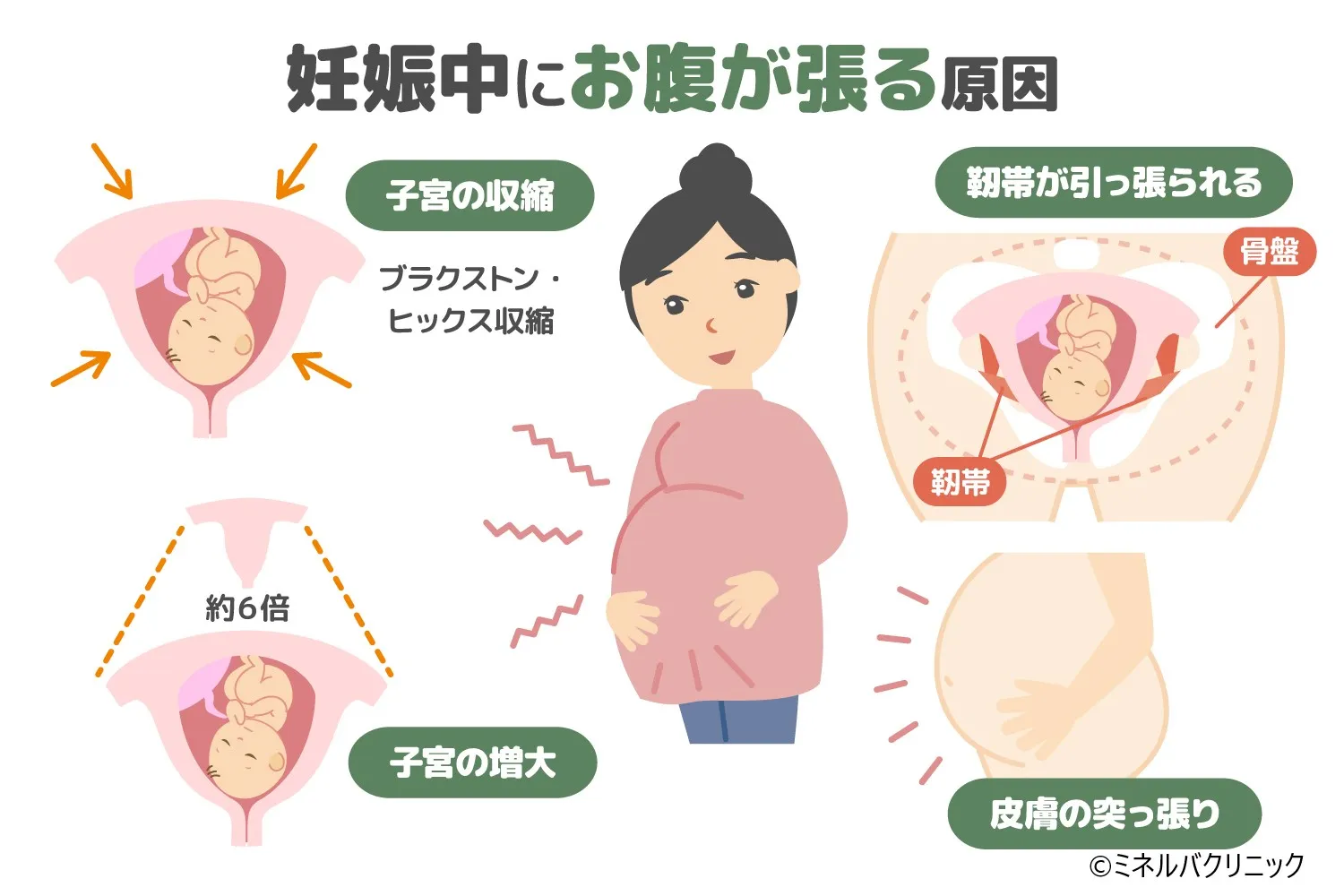 妊婦のお腹の張りは危険？時期別の原因と緊急受診の判断基準【2026】
