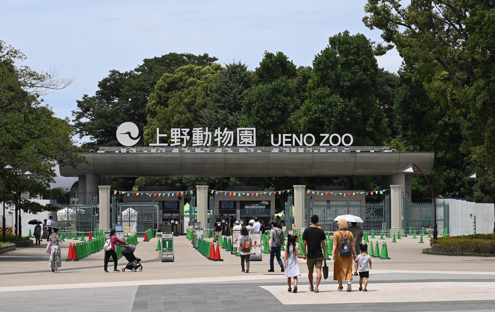 【2026最新】上野動物園の攻略法！パンダ待ち時間を削る裏ワザ