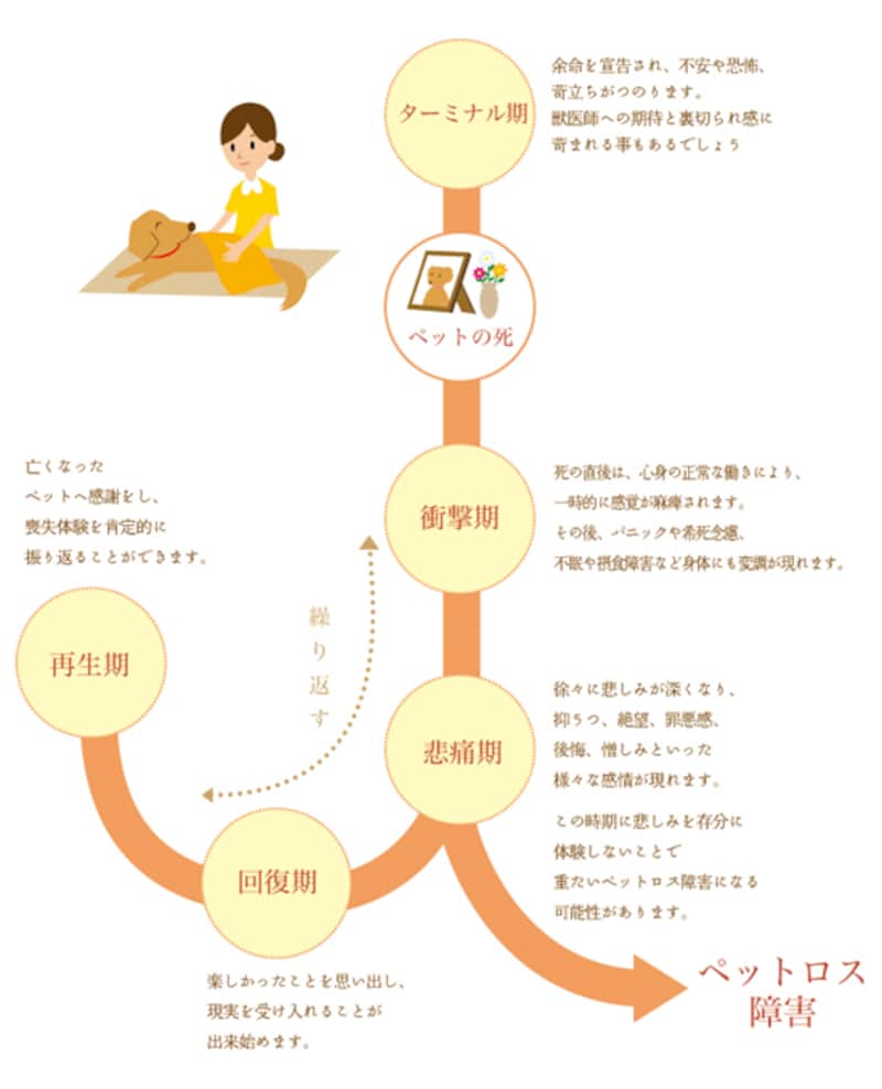 ペットロスの乗り越え方｜深い悲しみと罪悪感を癒やす科学的アプローチ