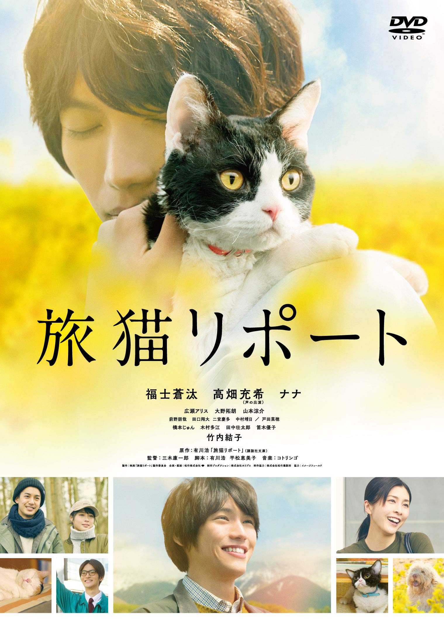 旅猫リポート』なぜ号泣？結末の切ない真相と映画・原作の違いを徹底解説