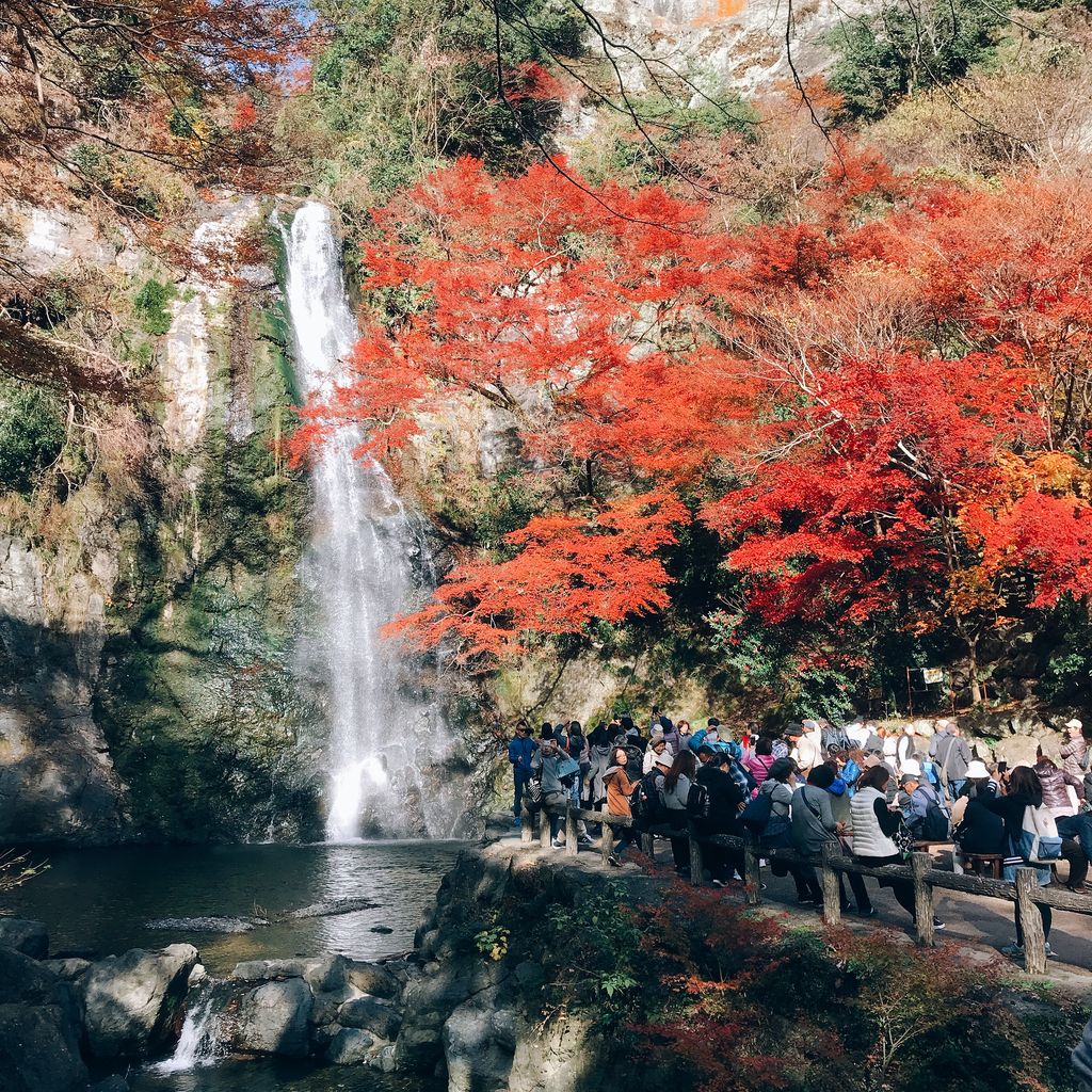 河鹿荘別館ほととぎすの現在と閉館理由｜噂の真相と跡地の姿を徹底追究