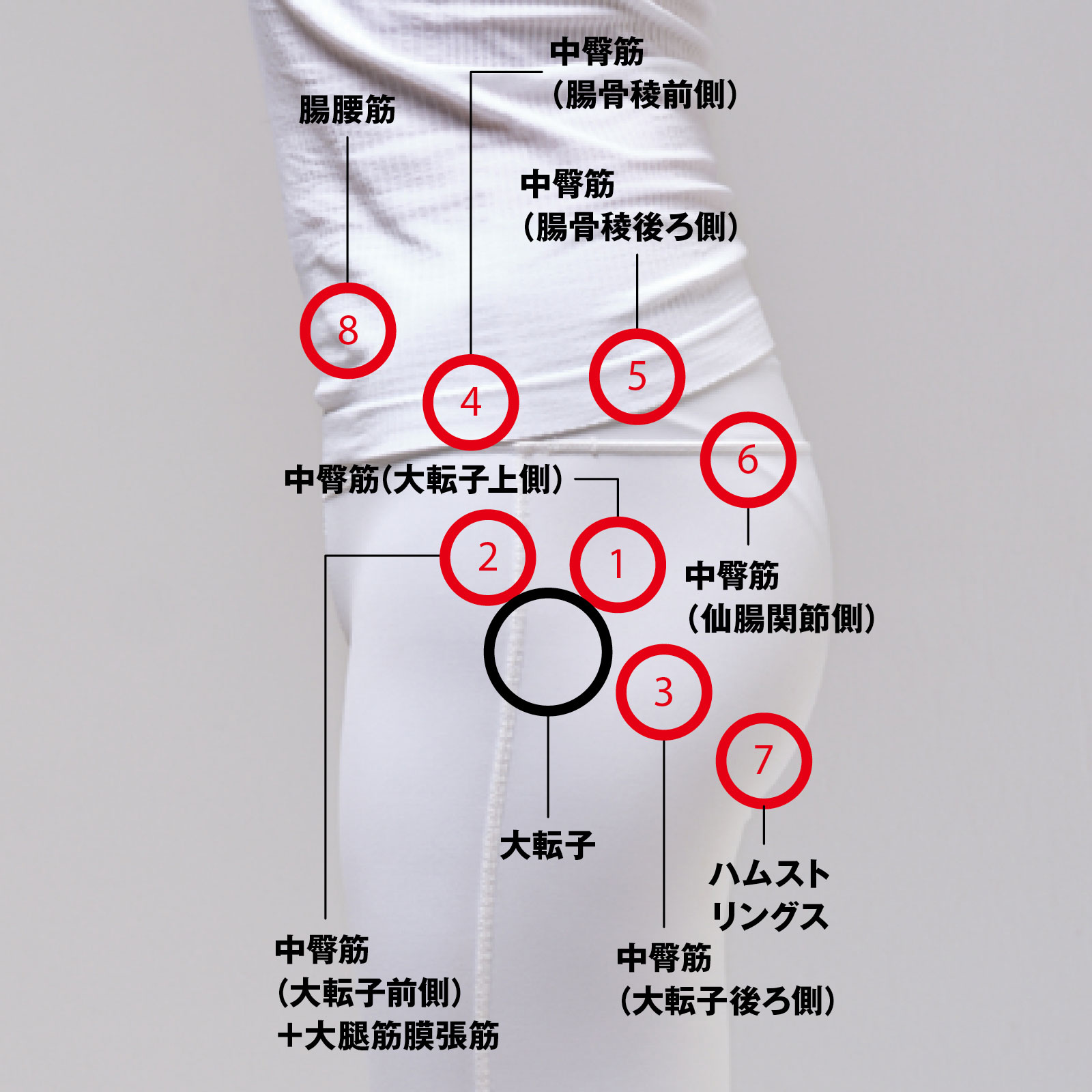頑固な腰痛を1分で撃退！プロが明かす腸腰筋を緩めるツボの真相