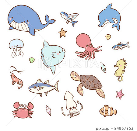 【まとめ】 海 の 生き物 かわいい イラスト 2026年最新プロフィール #767