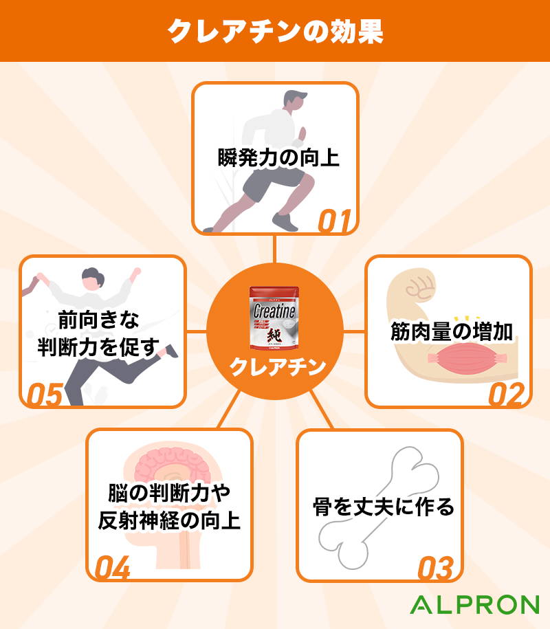クレアチンを飲むタイミングは筋トレ後？吸収率を高める最新の飲み方
