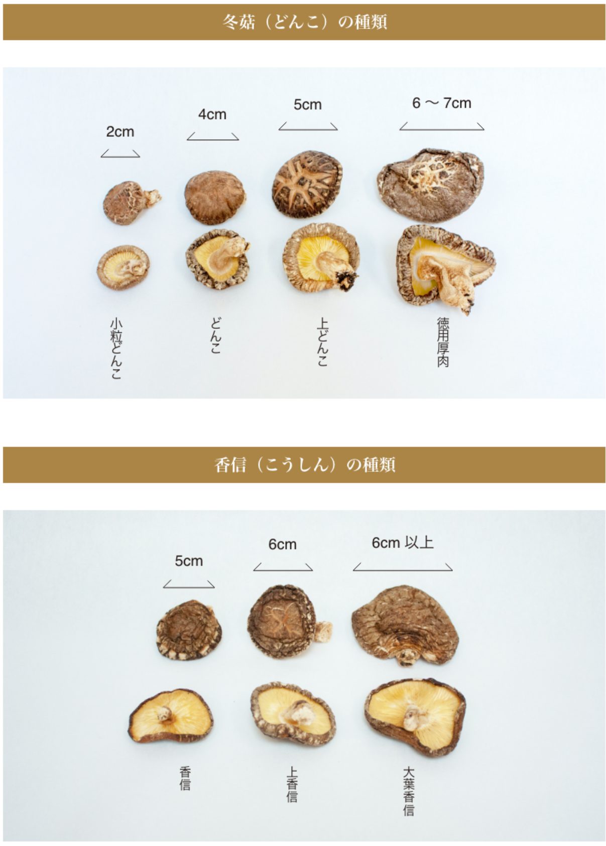 椎茸の種類で味は激変！冬菇と香信の違いから高級品種まで徹底解説
