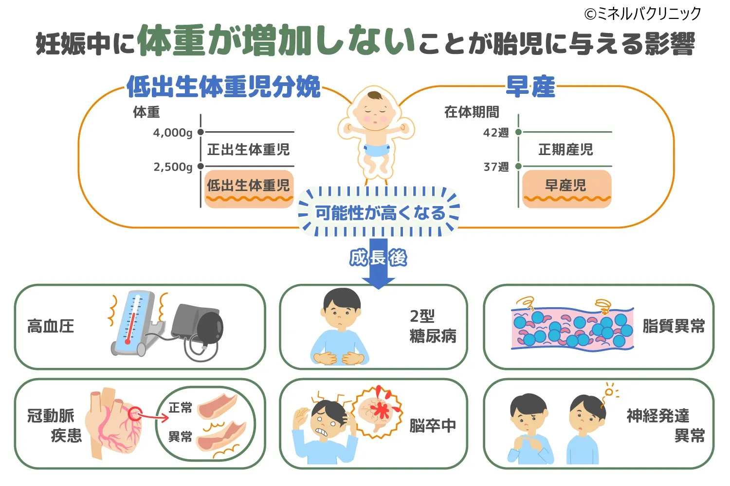 妊娠中に体重が増えない原因は？胎児への影響と最新の増加目安を徹底解説