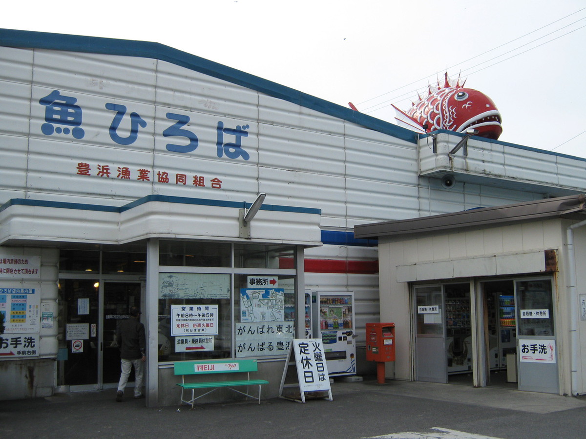 豊浜魚ひろば閉店の噂はなぜ？2026年最新の営業状況と海鮮丼の真相