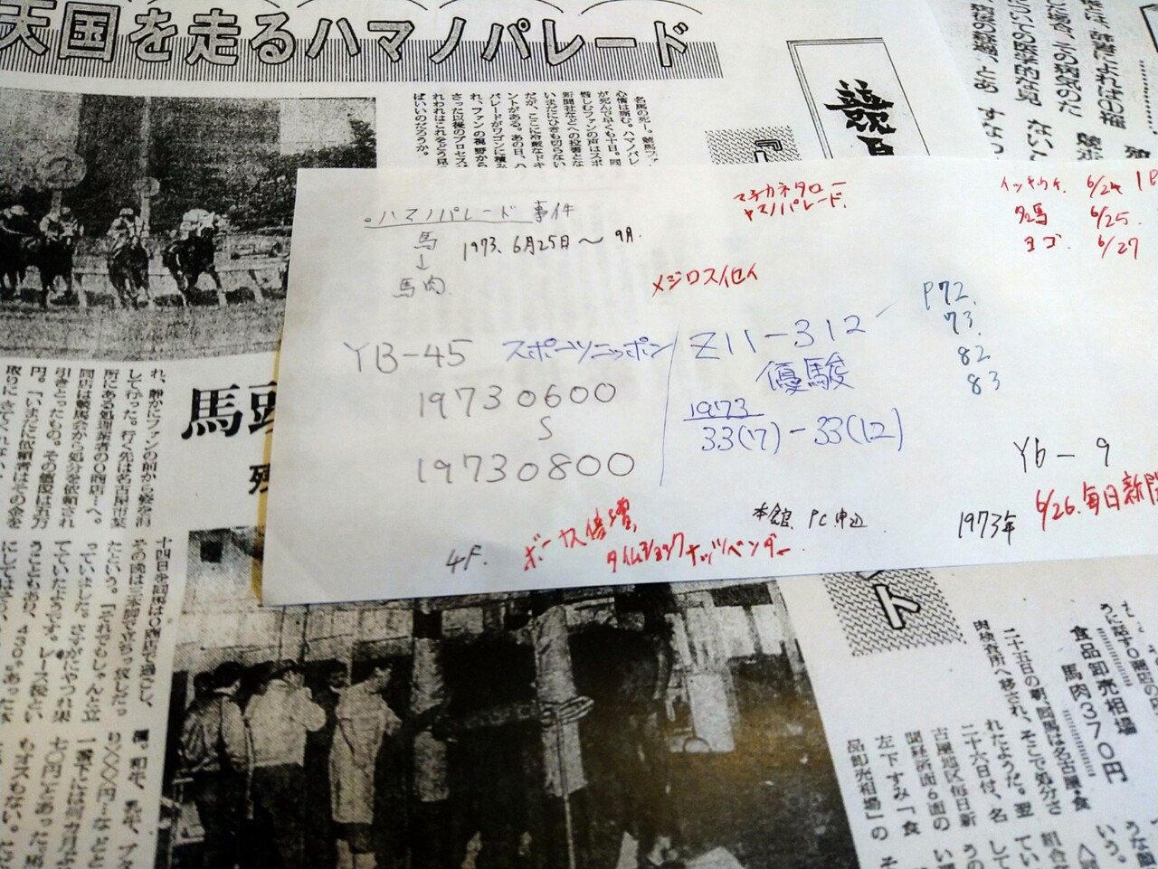 競走馬の馬肉事件とタブーの真相｜名馬の悲劇と引退馬が直面する現実