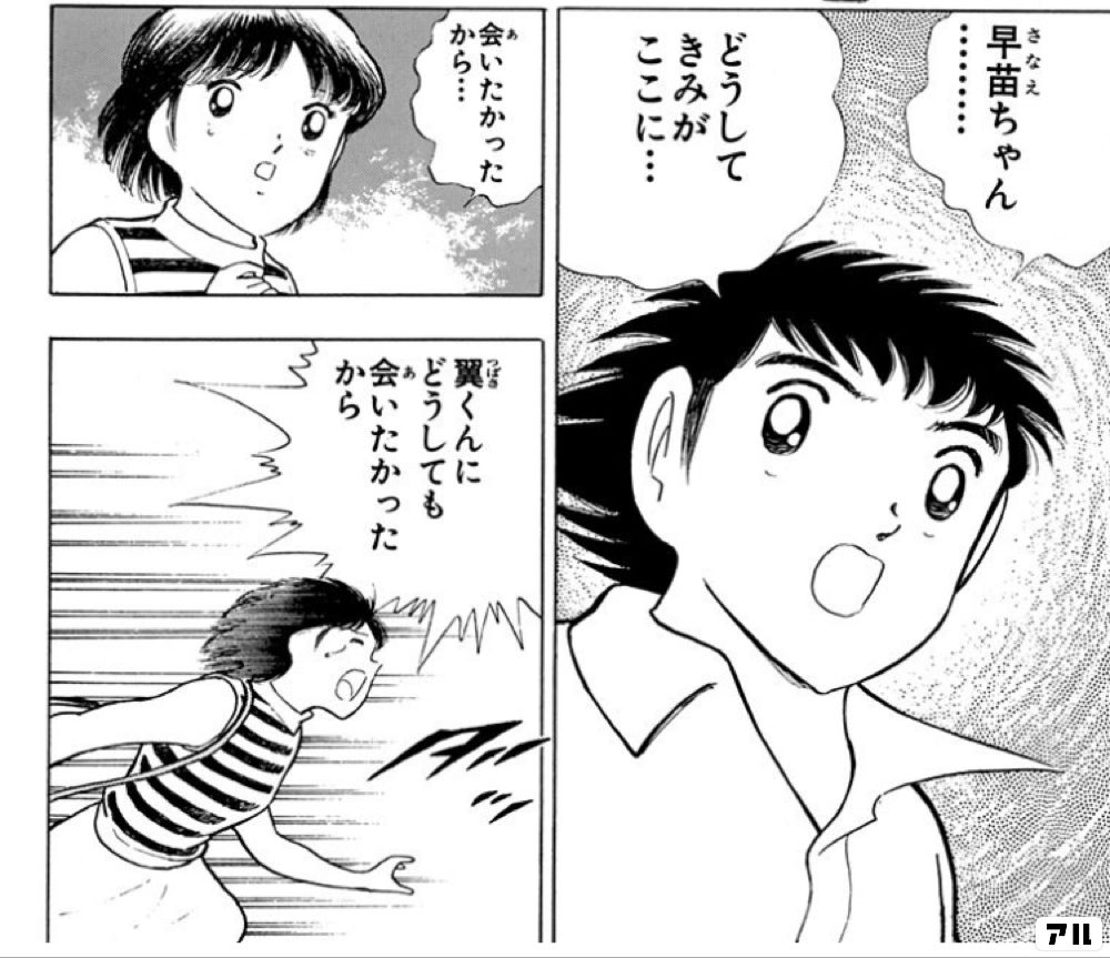 『キャプテン翼』早苗の死亡説は本当？噂の理由と双子出産の真相