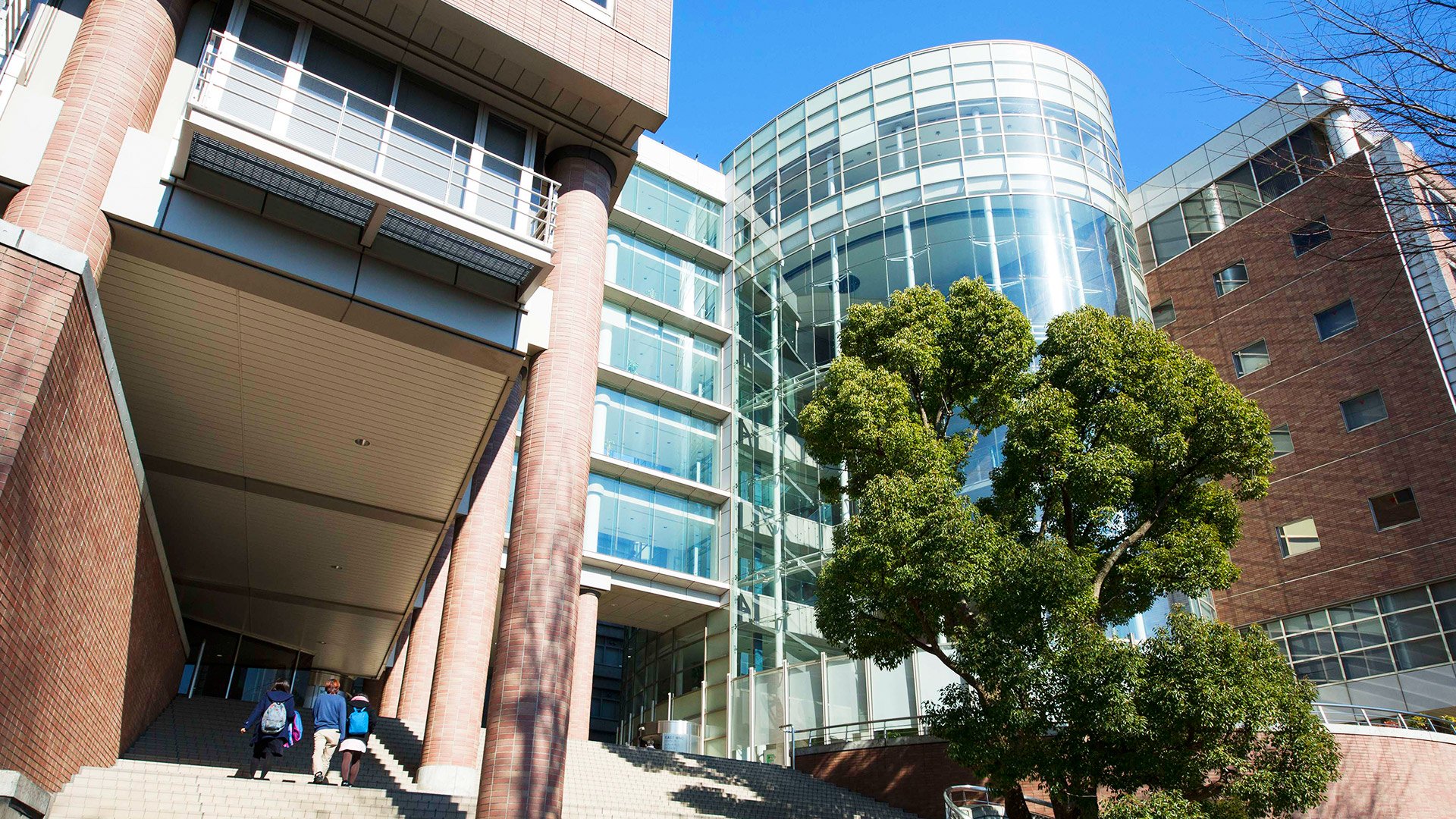 慶應義塾大学矢上キャンパスの真実！理工学部の施設とアクセス徹底検証