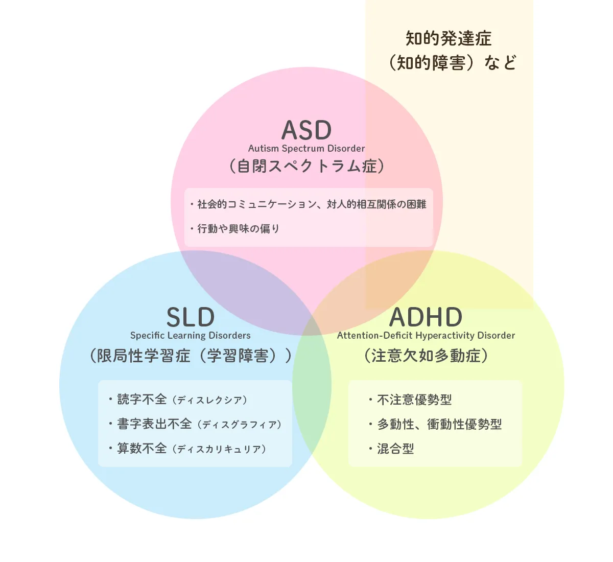 自分はどっち？AdhdとAsdの決定的な違いとは？大人の併発サインを徹底解説