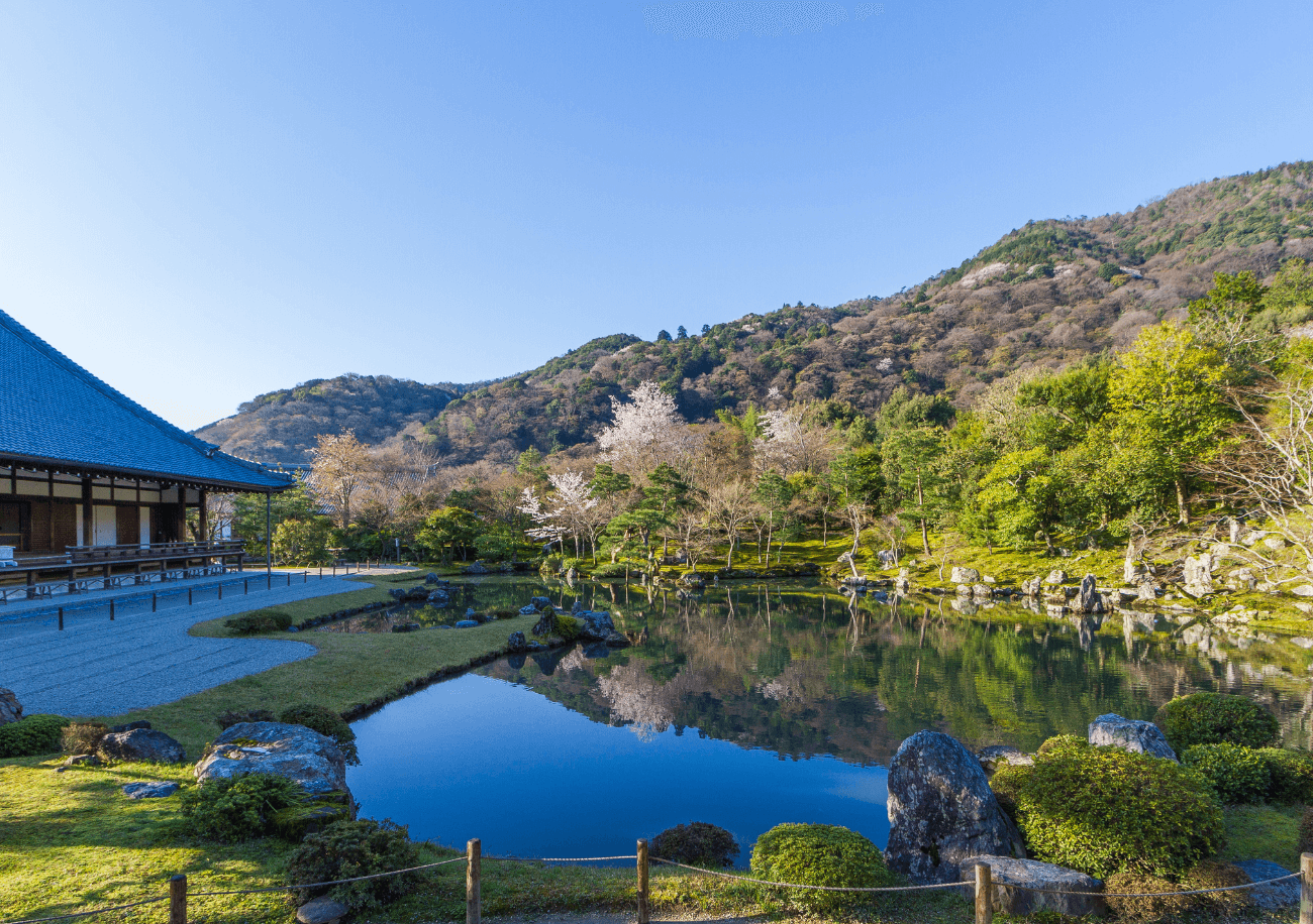 京都天龍寺2026最新完全攻略！雲龍図の謎や見どころ・混雑回避術