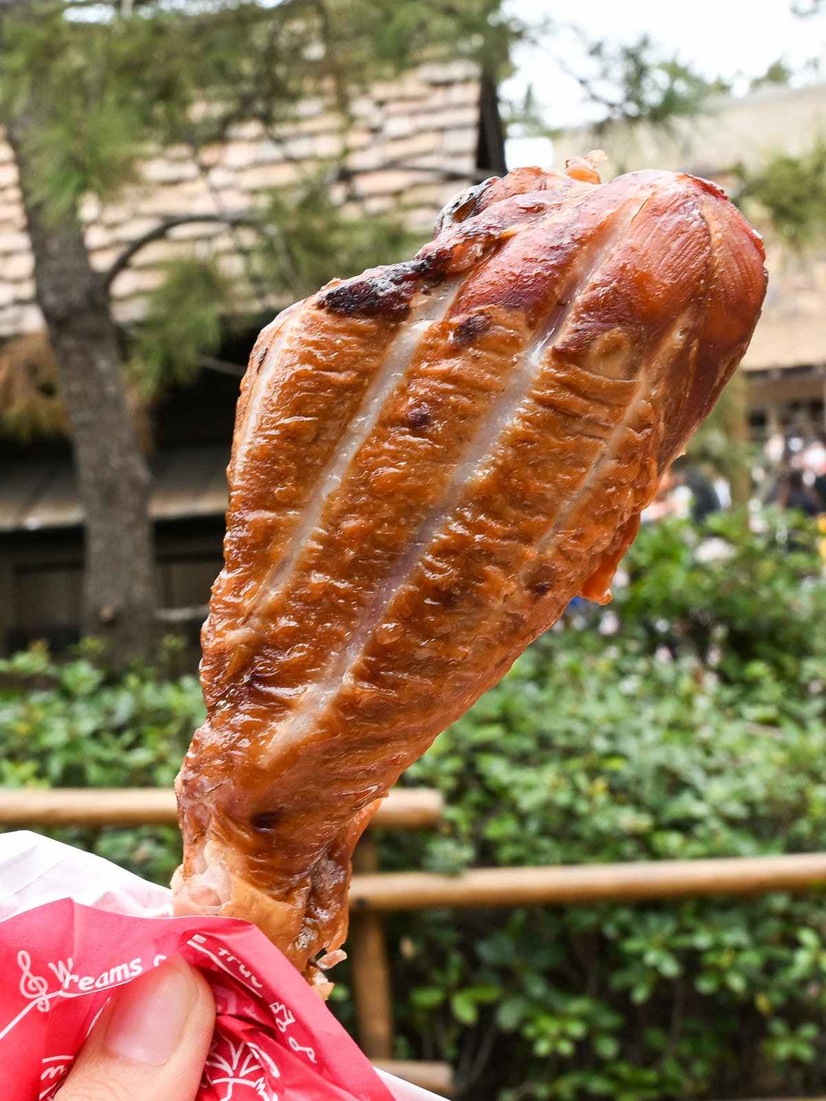 ディズニーのターキーレッグ完全攻略！最新店舗と値段・チキンとの違い