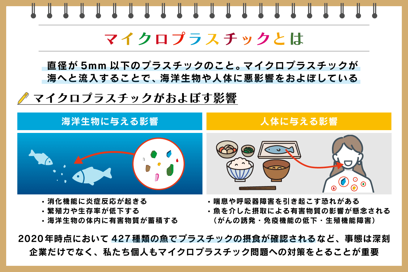 マイクロプラスチックとは？血液検出の真相と人体影響【2026最新】