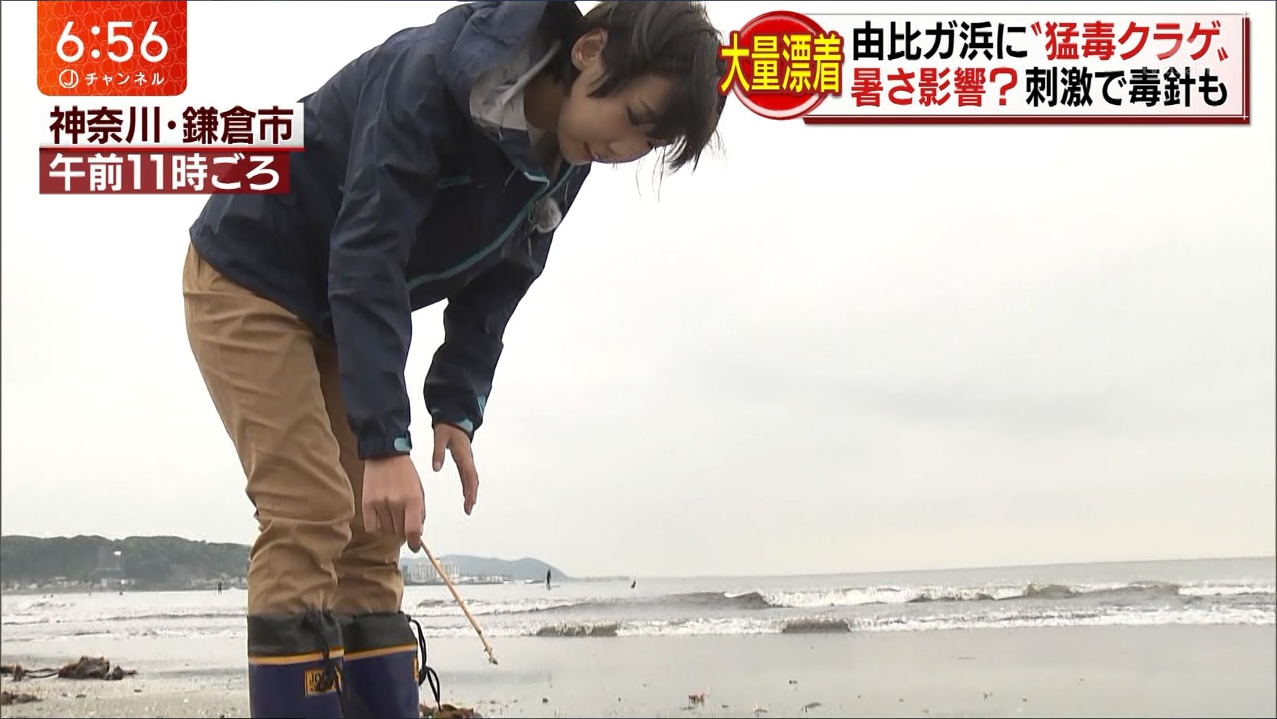 寺崎比呂美の現在と経歴｜話題の理由やプロフィール・噂の真相解説