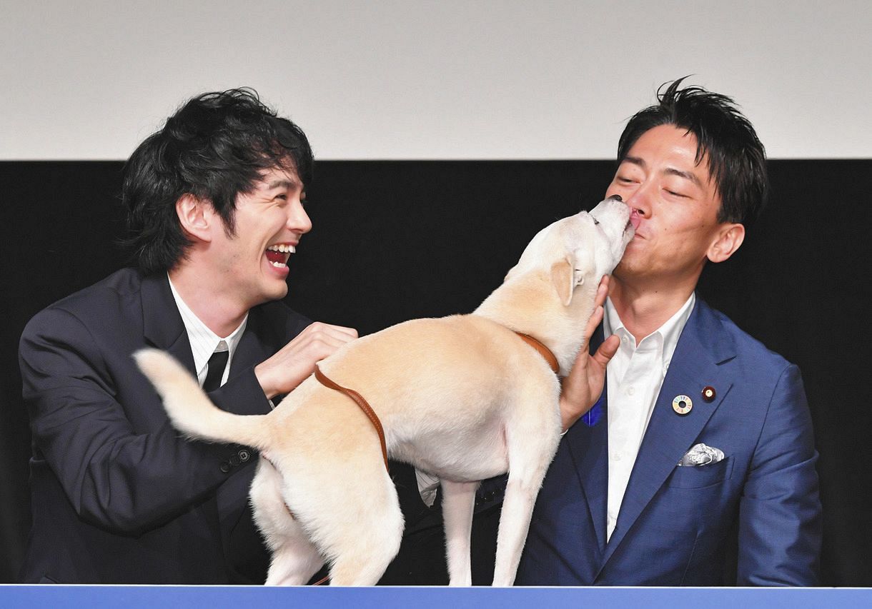 小泉進次郎の愛犬・アリスの真相に驚愕！被災保護犬との絆が泣ける【2026最新】