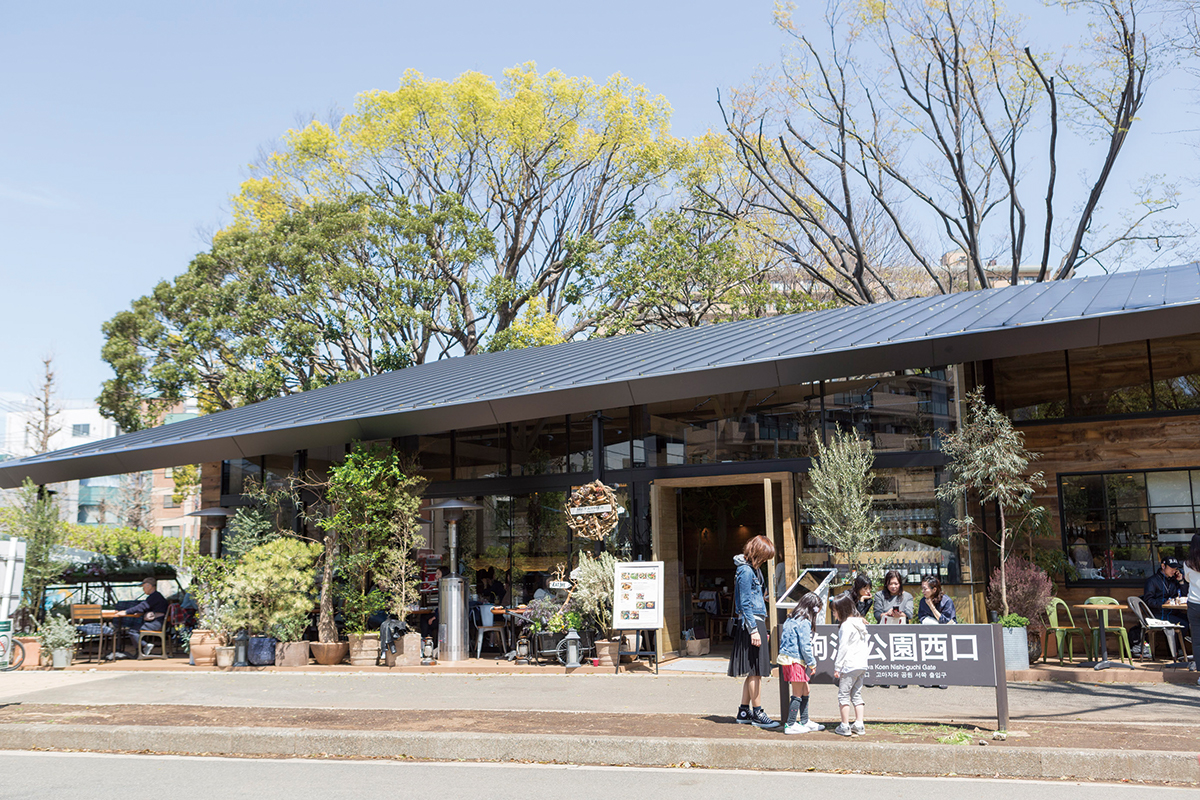 駒沢大学駅カフェ徹底比較！作業・隠れ家・テラスの2026年最新版