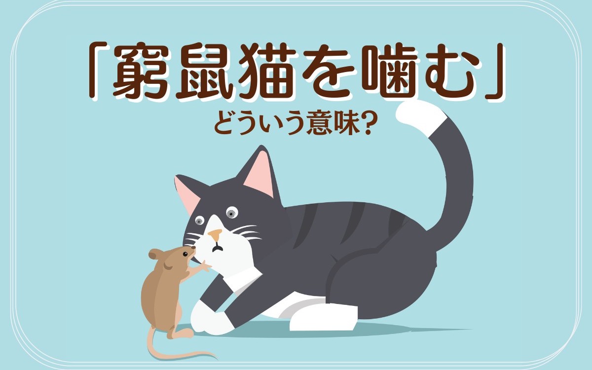 窮鼠猫を噛むとは？追い詰められた弱者が逆転する真の理由を解説