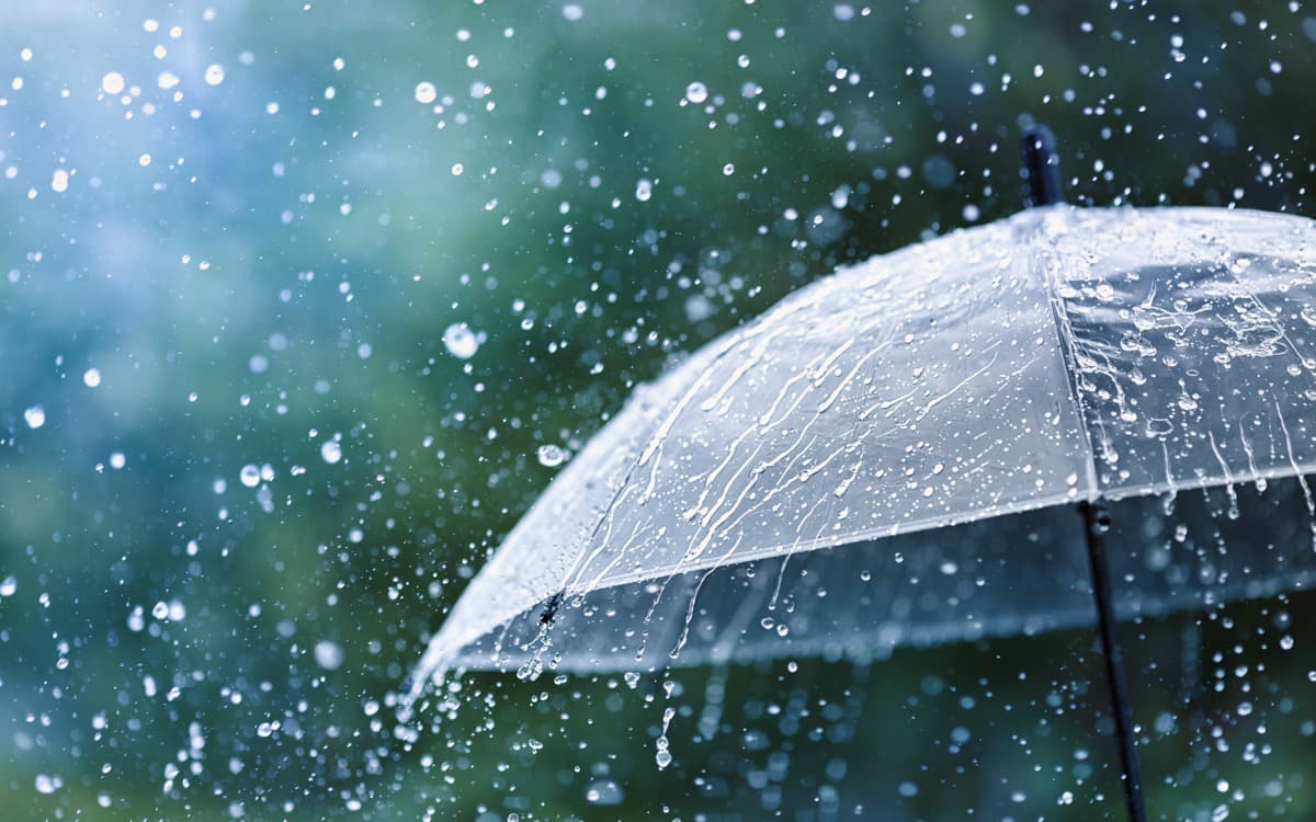 五月雨とは？意味と語源・ビジネスメール例文＆マナーを徹底解説