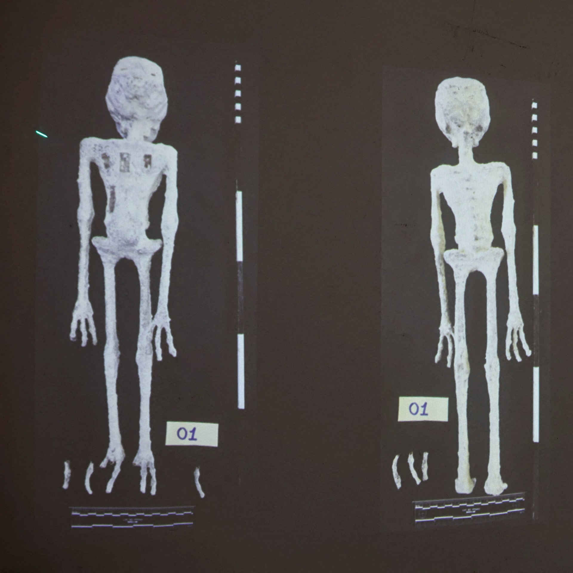 偽物ミイラの闇と歴史的捏造｜ペルシャ王女や宇宙人の正体を科学が暴く