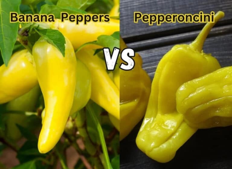 Do Banana Peppers and Pepperoncini Taste the Same