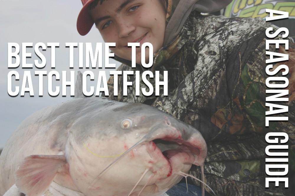 Best Time of Day for Catfish