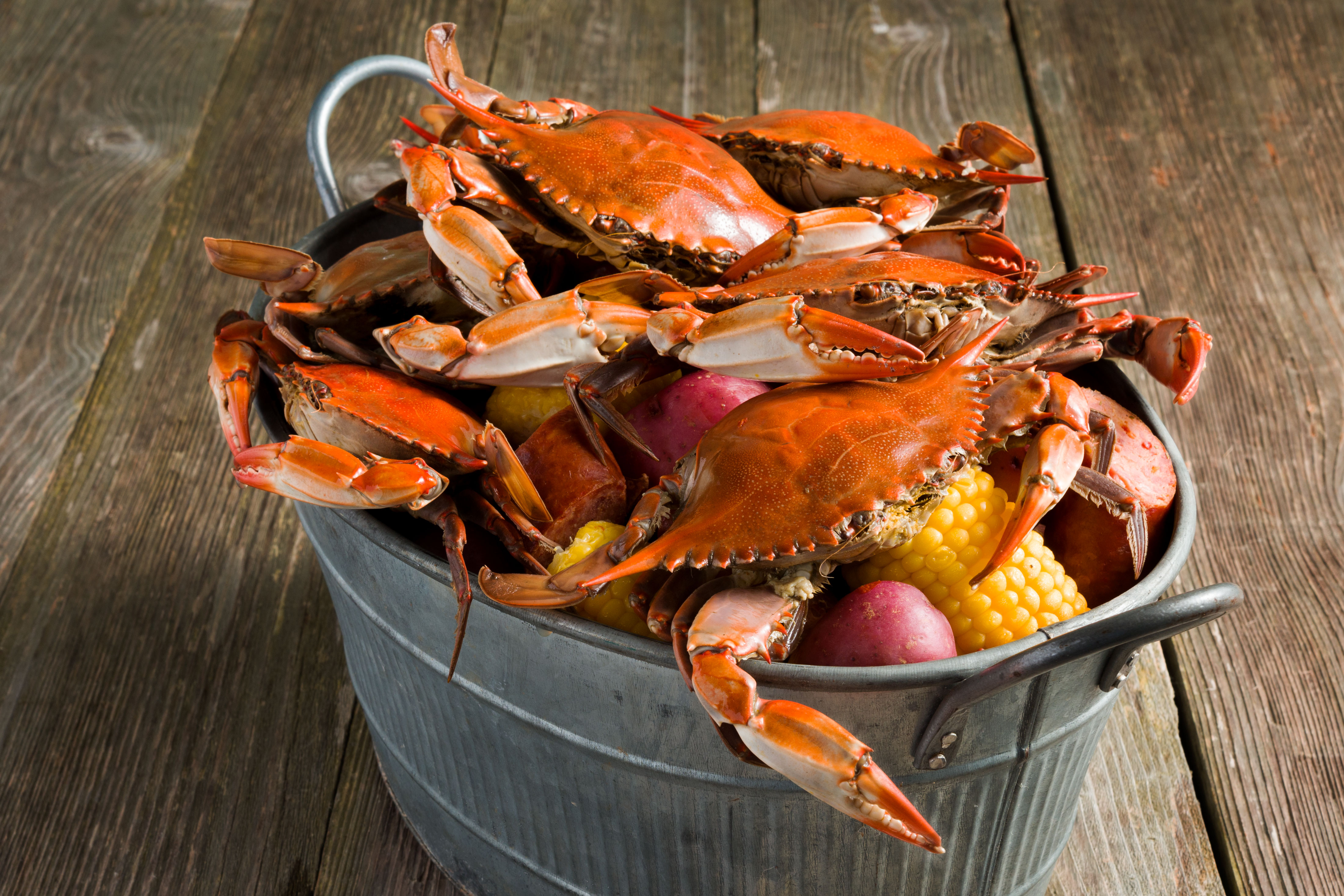 Boiled Blue Crab Recipe
