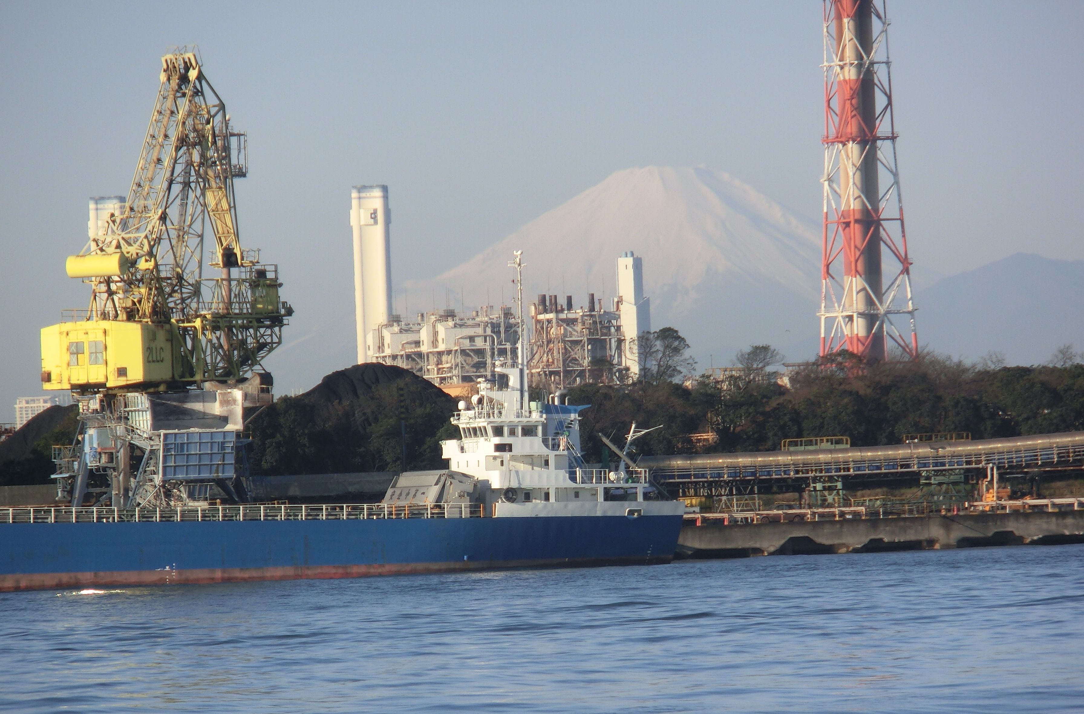 【2026最新】東扇島西公園で爆釣！アジ・タチウオ釣果と混雑を徹底解説