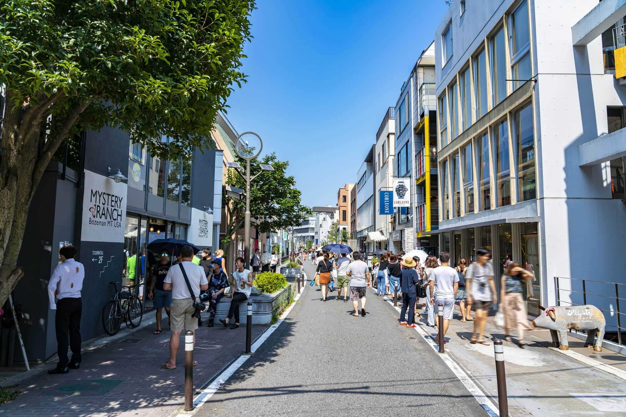 なぜ猫の名が？原宿キャットストリートの由来と2026年最新ガイド
