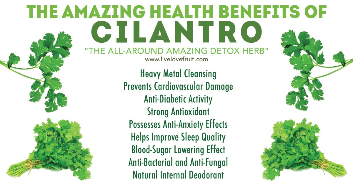 Health Benefits of Cilantro Leaves