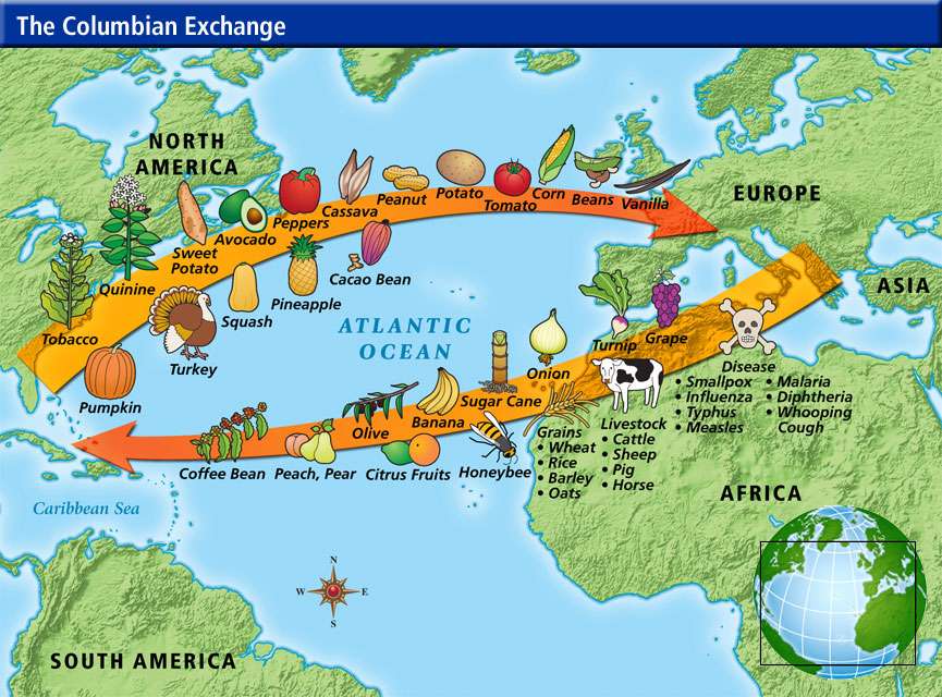 What Were the Impacts of the Columbian Exchange