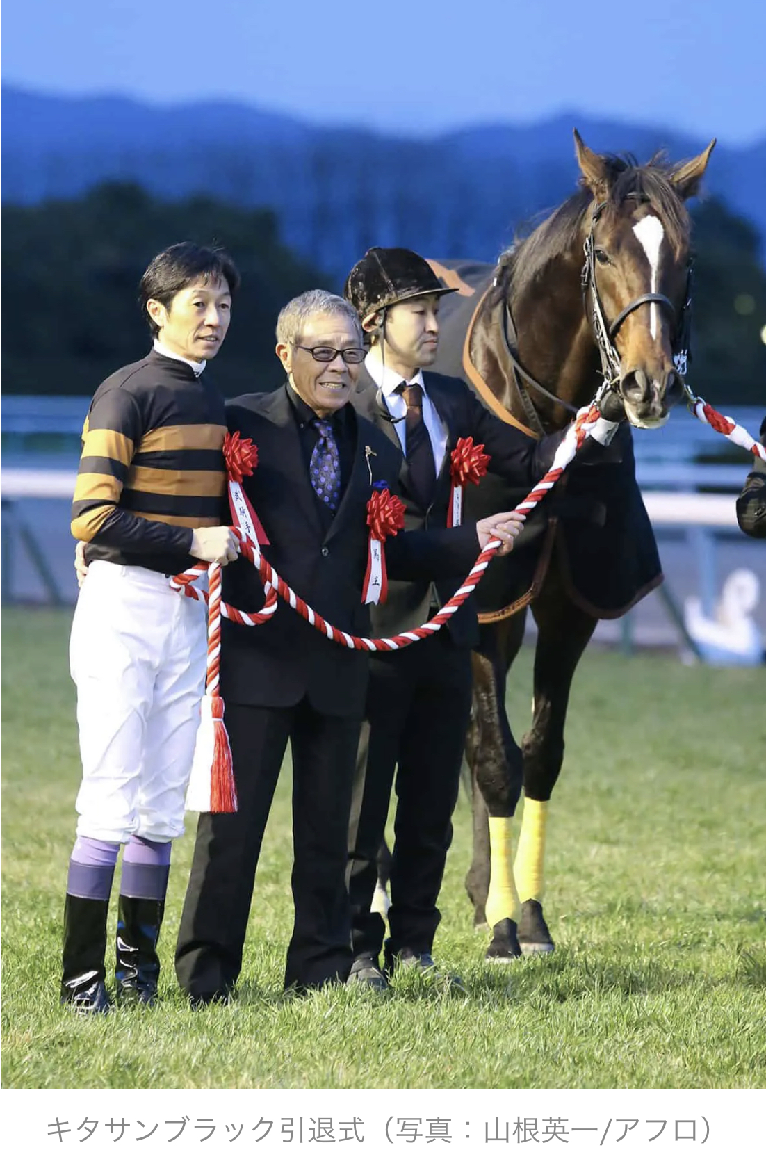 北島三郎の馬主伝説！キタサンブラックと2026年最新の所有馬事情